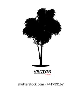 tree silhouette on white background