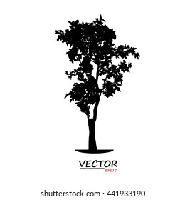 tree silhouette on white background