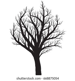 Tree silhouette on white background