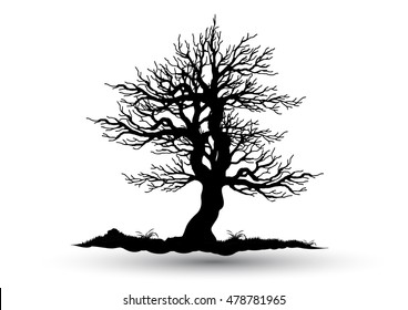 Tree silhouette on white background,Black tree