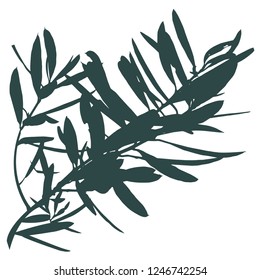 Tree silhouette Out on the branch. Black color. Gathering olives. Hanukkah. The branch of the olive tree. Elegant pattern.