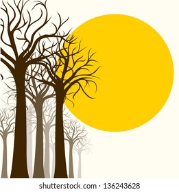 Tree silhouette, outline on white and sun
