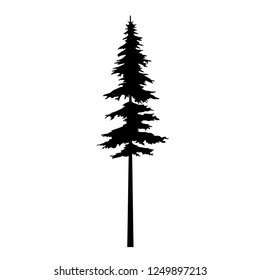 tree silhouette pine vector, fir tattoo tribal logo design, nature tree pine vector, forest spruce branch evergreen