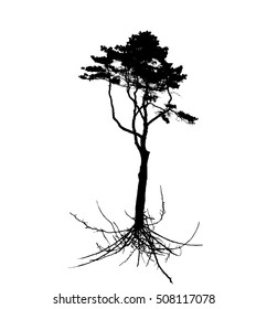 Tree Silhouette with root system Isolated on White Background. Vector Illustration. EPS10