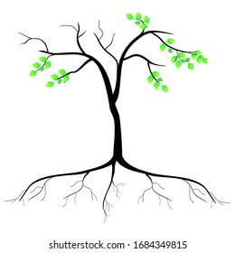 
tree silhouette, roots and leaves. silhouette of black trees and green leaves.