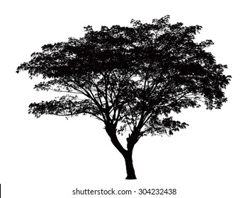 Big Tree Silhouette Images Stock Photos Vectors Shutterstock