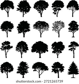 Conjunto de silueta de árbol. Contiene robles, pinos, arces, árboles caducifolios, árboles de hoja perenne y Elementos paisajísticos de la naturaleza.