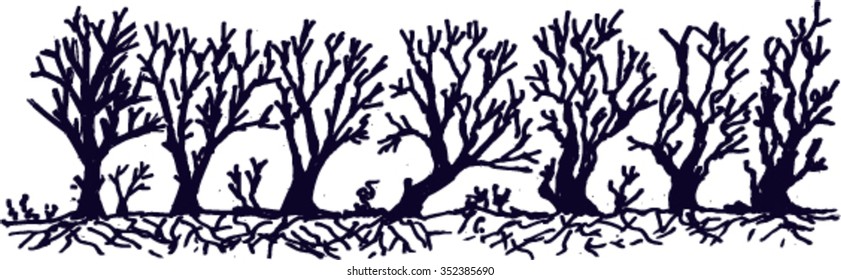 tree silhouette, sketch