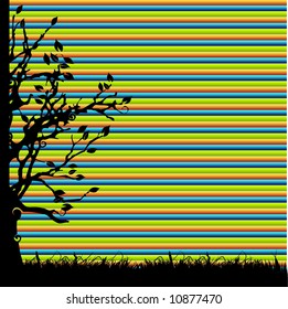 Tree silhouette, summer, background