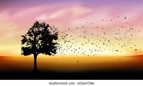 tree silhouette at sunset 