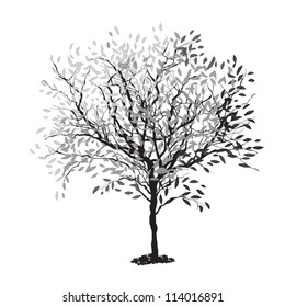 Tree silhouette. The trunk and leaves in separate layers. Vector illustration, EPS8.