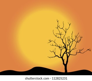 Tree silhouette in the twilight of day