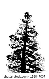 tree silhouette. Vector