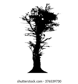 Tree silhouette vector