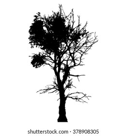 Tree silhouette vector