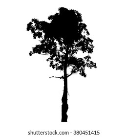 Tree silhouette vector