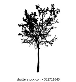 Tree silhouette vector