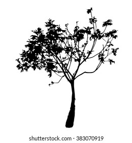 Tree silhouette vector