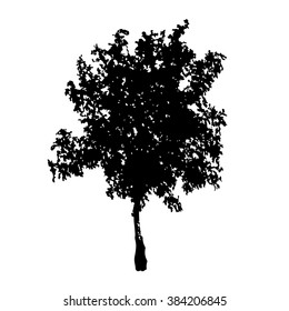 Tree silhouette vector