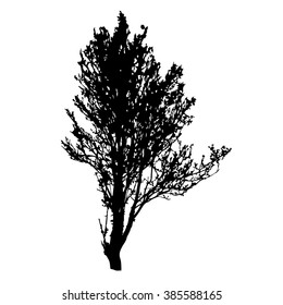 Tree silhouette vector
