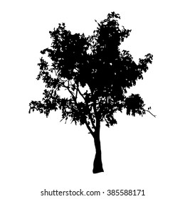 Tree silhouette vector