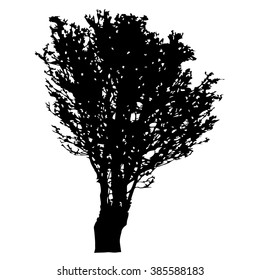 Tree silhouette vector