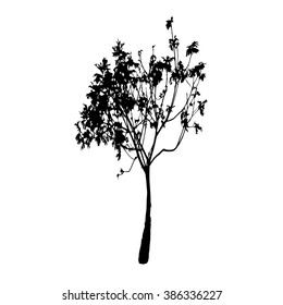 Tree silhouette vector