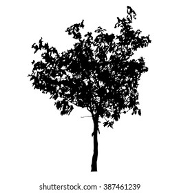 Tree silhouette vector