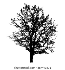 Tree silhouette vector