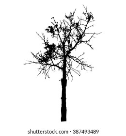 Tree silhouette vector