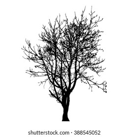 Tree silhouette vector