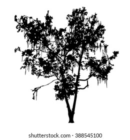 Tree silhouette vector