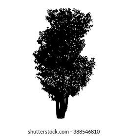 Tree silhouette vector