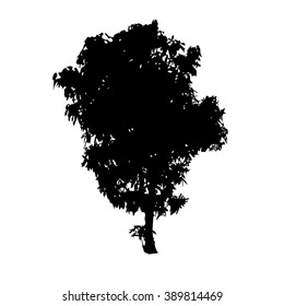Tree silhouette vector