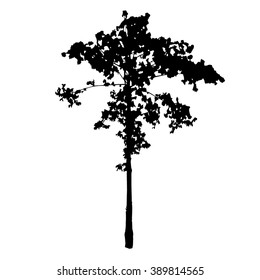 Tree silhouette vector