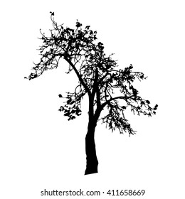 Tree silhouette vector