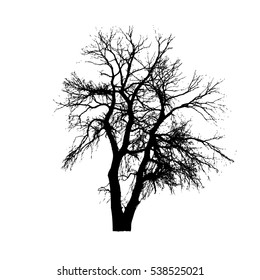 tree silhouette . Vector