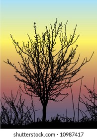 tree silhouette vector against color sky