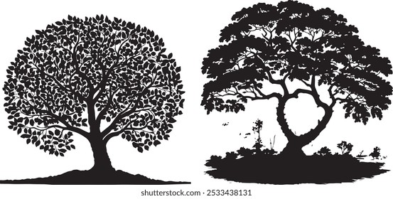  Iconos de Arte vectorial de silueta de árbol.
Icono plano .tree para App y Sitios web. Vector del árbol, iconos de la silueta en el fondo blanco. conjunto de la silueta del roble
