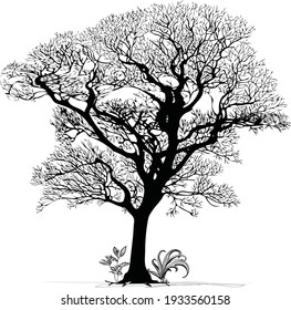 Tree Silhouette Vector Art with white background 