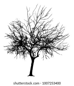 Tree Silhouette vector clip art black and white on blank plain bckground