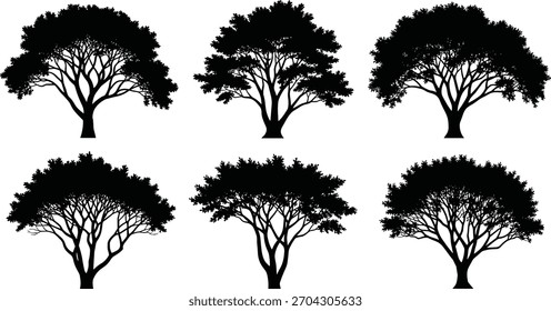 Tree silhouette vector, diverse branching patterns, leafless tree shapes, black botanical forms, nature structure, landscape design, seasonal illustration, organic lines, plant identity