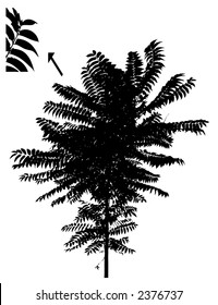 tree silhouette (vector eps format)