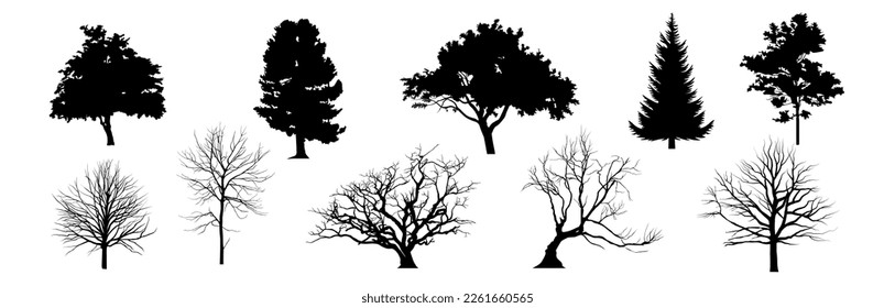 Tree silhouette. Tree vector. Forest