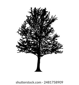 Tree Silhouette vector, hand drawn oak tree silhouette, tree silhouette design