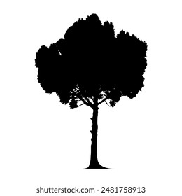 Baum Silhouette Vektorgrafik, handgezeichnete Eiche Baumsilhouette, Baum Silhouette Design