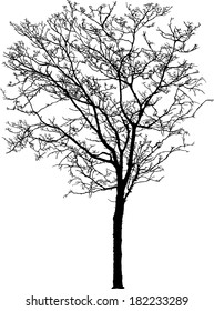 Tree Silhouette Vector Illustration