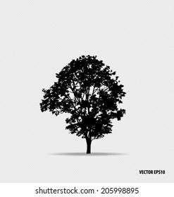 Tree silhouette. Vector illustration.