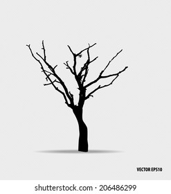 Tree silhouette. Vector illustration.