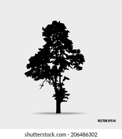 Tree silhouette. Vector illustration.